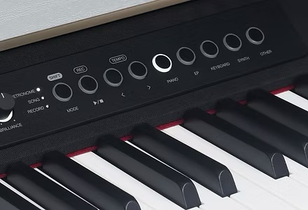 Medeli CP203 Digital Piano เปียโนไฟฟ้าพร้อมขาตั้ง